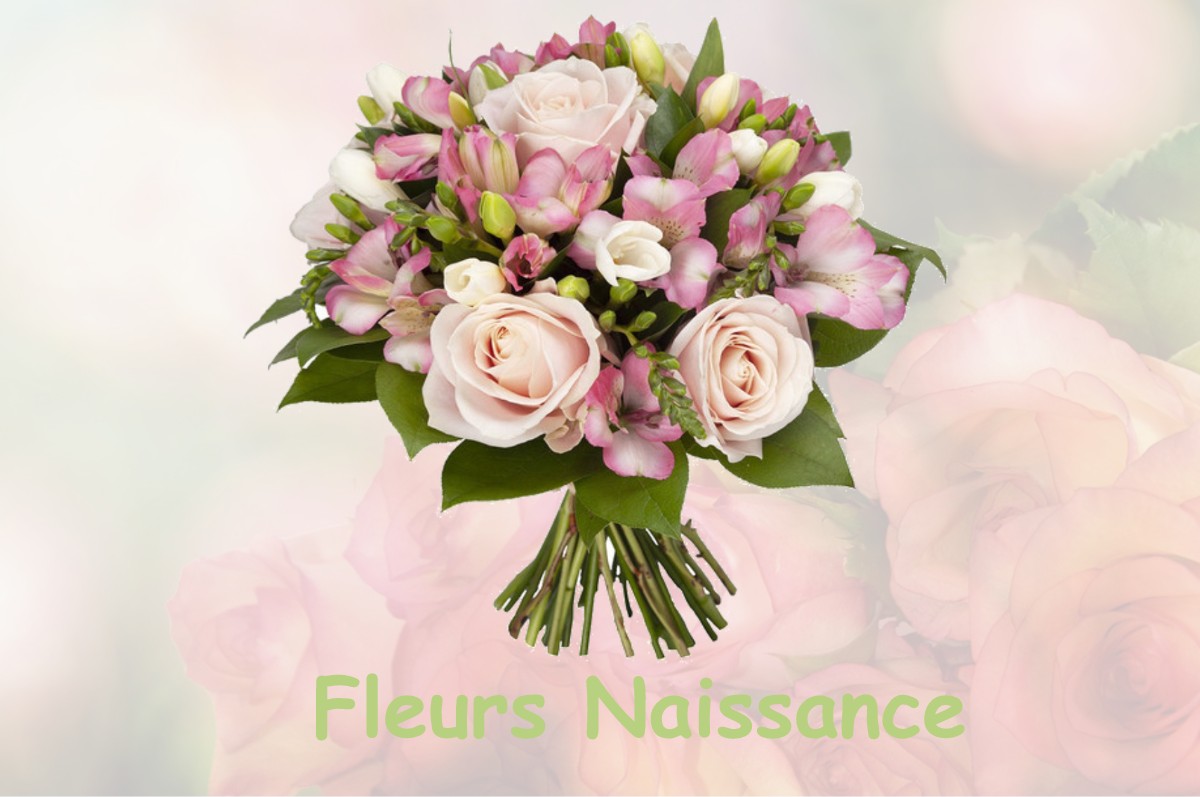 fleurs naissance CHEIN-DESSUS