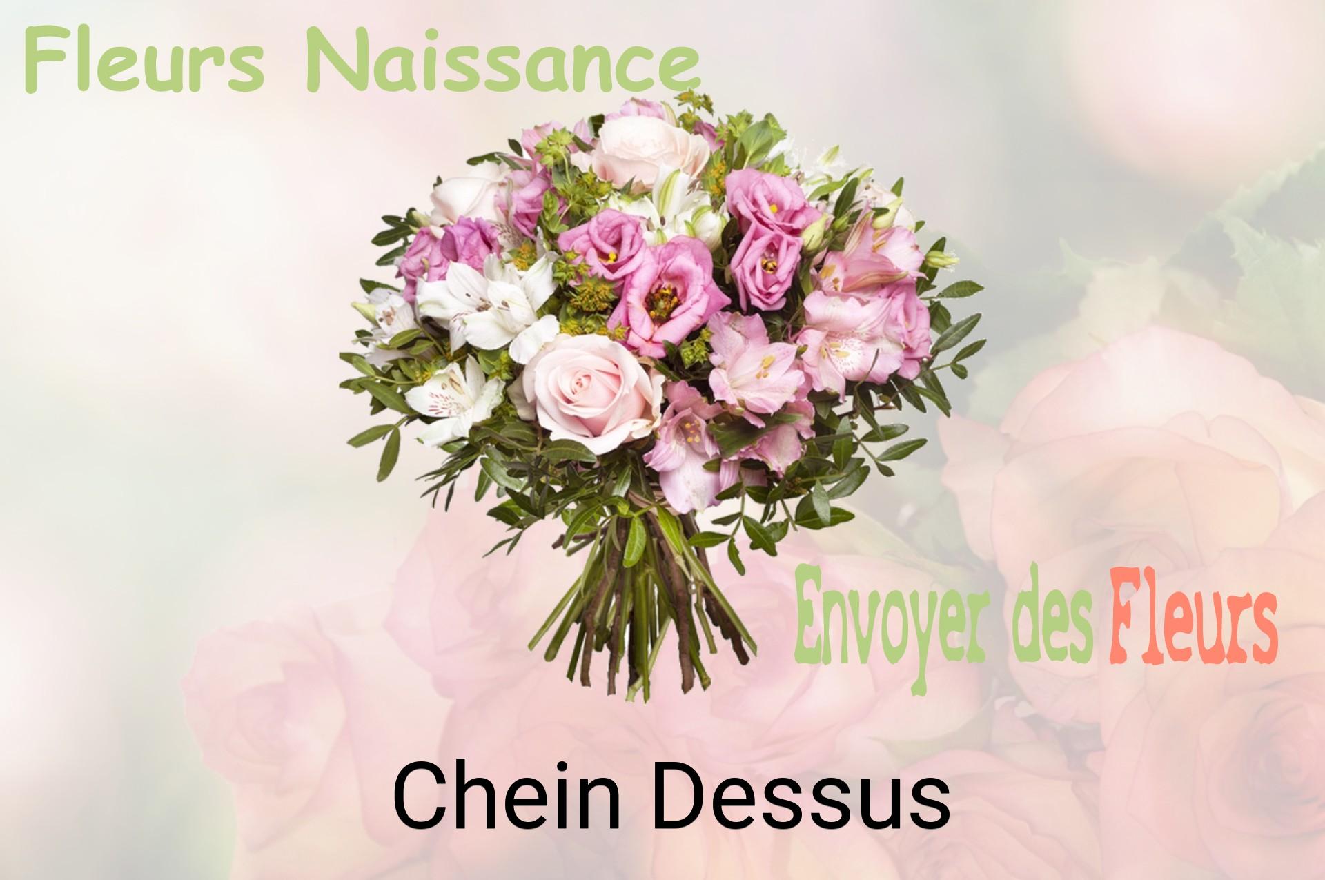Bouquet de fleurs de naissance livré à Chein-Dessus