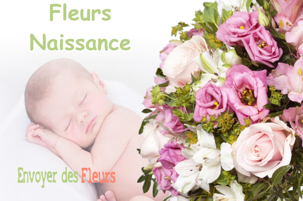 lIVRAISON FLEURS NAISSANCE à CHEIN-DESSUS